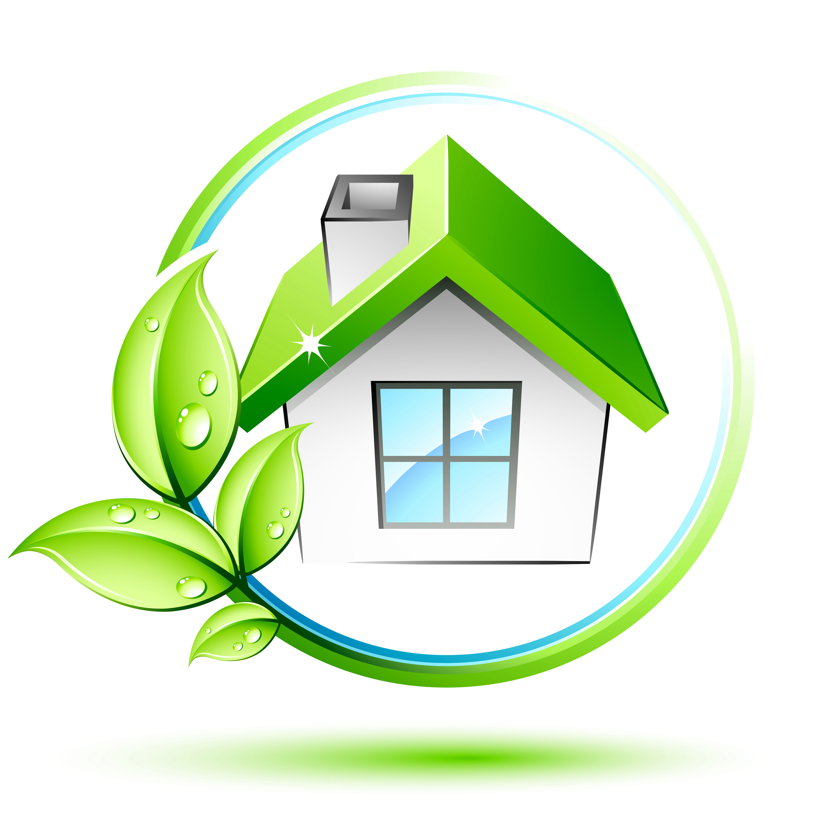 De Araujo Cleaning Services